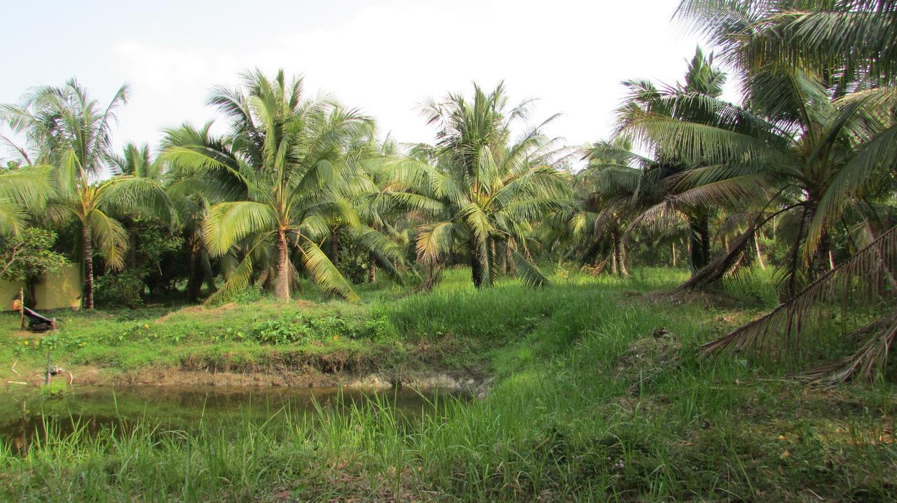 Orchard Fruit Farm Bungalow Phu Quoc Extérieur photo