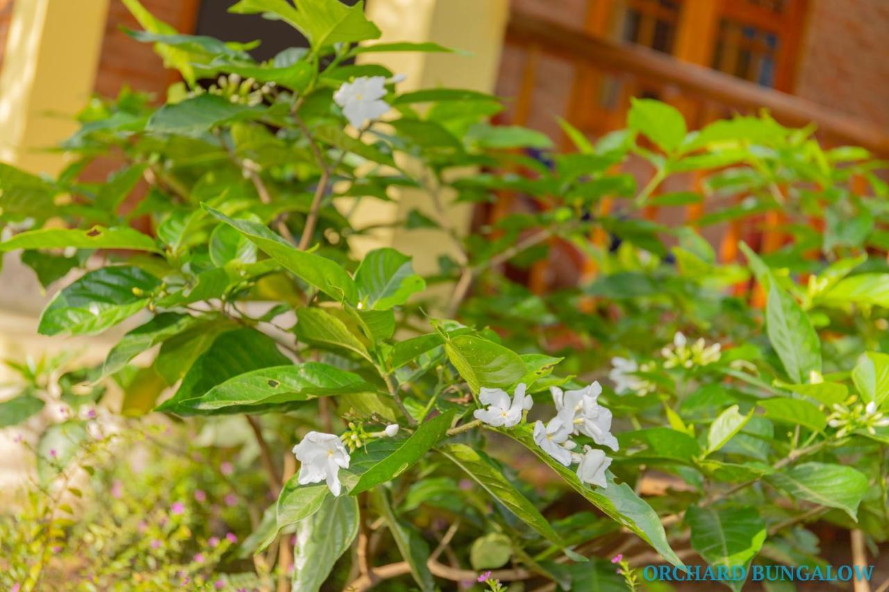 Orchard Fruit Farm Bungalow Phu Quoc Extérieur photo