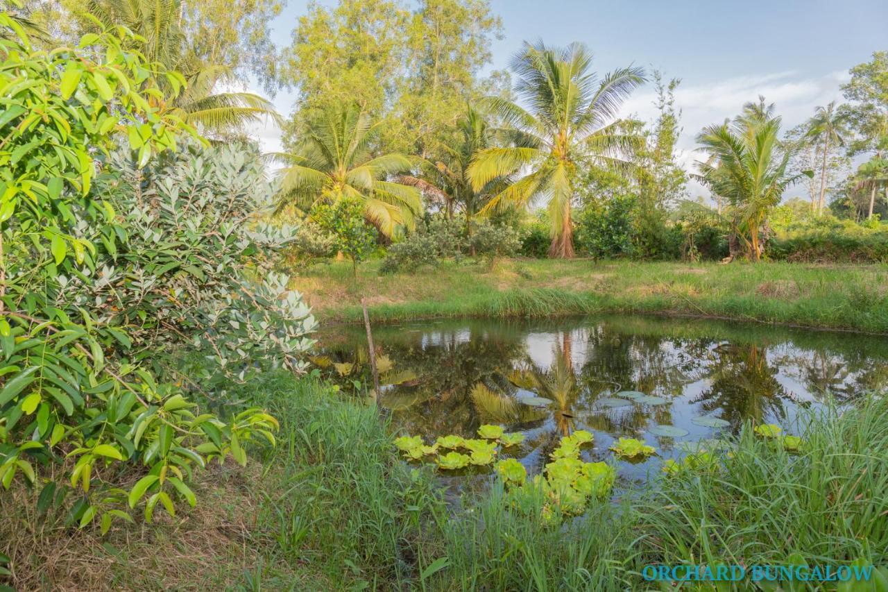 Orchard Fruit Farm Bungalow Phu Quoc Extérieur photo